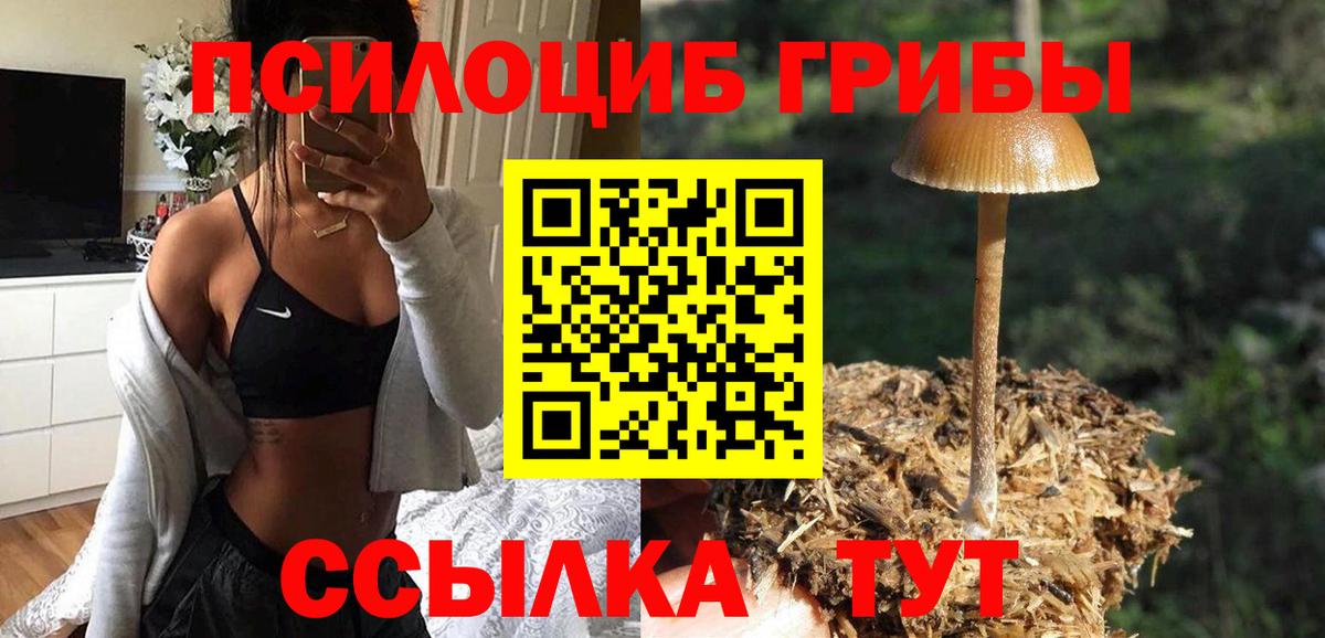Галлюциногенные грибы мицелий Смоленск