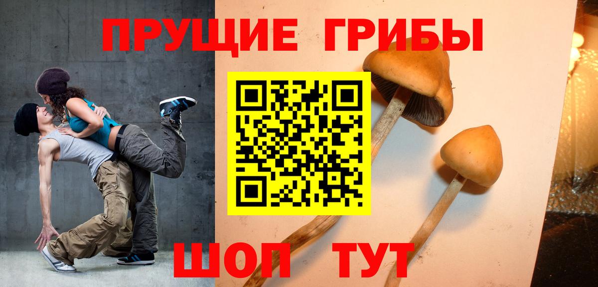 Псилоцибиновые грибы Cubensis  Галлюциногенные грибы MAGIC MUSHROOMS  цена наркотик  Вход с VPN  Смоленск 